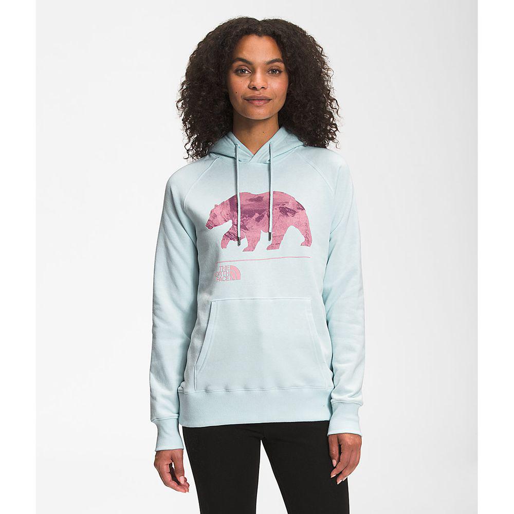 The North Face Bearscape 2.0 Pullover Hoodie Γυναικεια Φούτερ - Μπλε (FWOM36514)
